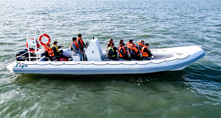 10 meter aluminum rib boat 