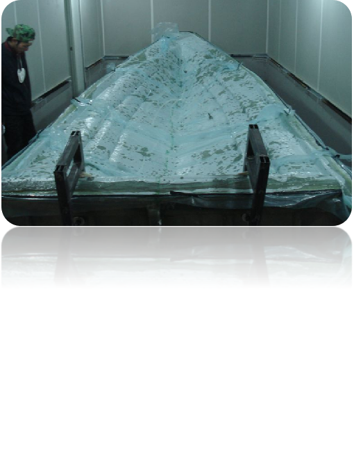 Vacuum absorption technology