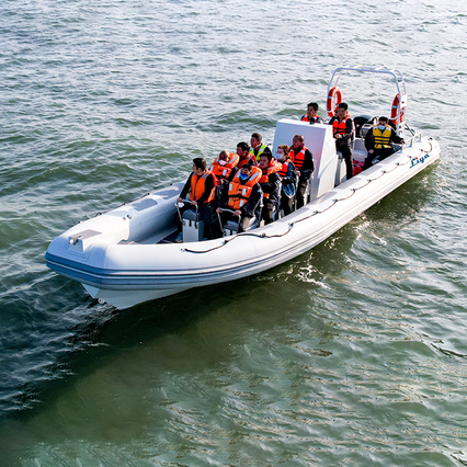 Liya Patrol Boat Aluminum hull Rib Boat 9-10 Meter