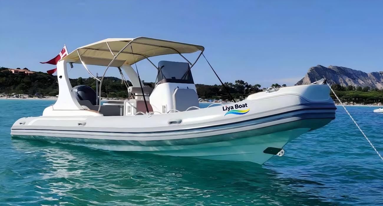 Liya 6.6Meter Luxury RIB Boats.jpg