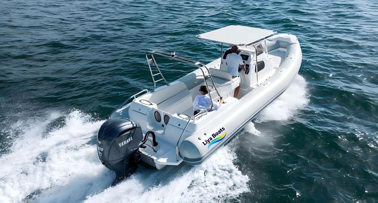Liya 27FT Luxury Cabin RIB Boat for Sale | 8.3m Step Hull,Family & Charter Ready