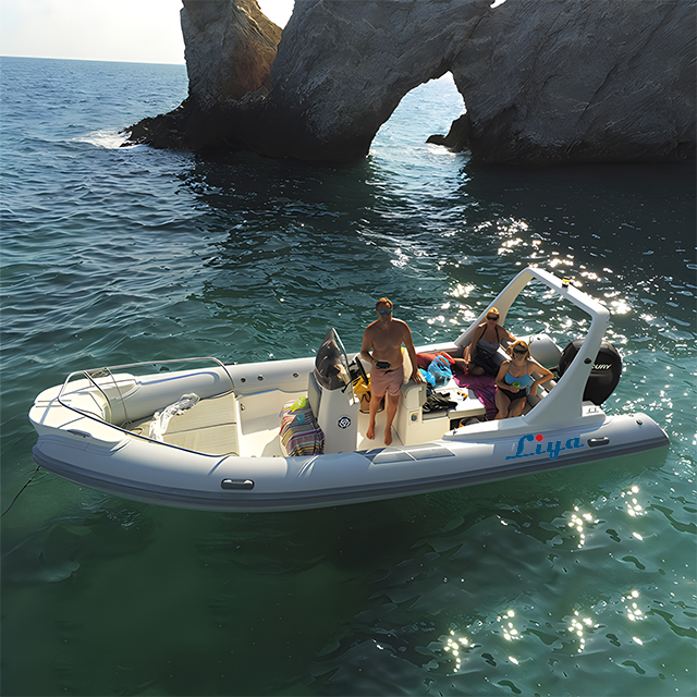 Liya 22Feet/6.6Meter Classic Rigid Inflatable Boat for 12people 