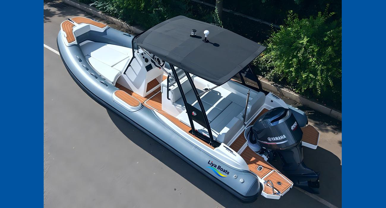 Liya 22FT Luxury Sport RIB Boat for Sale | 6.6m High-Performance, 12 Person 