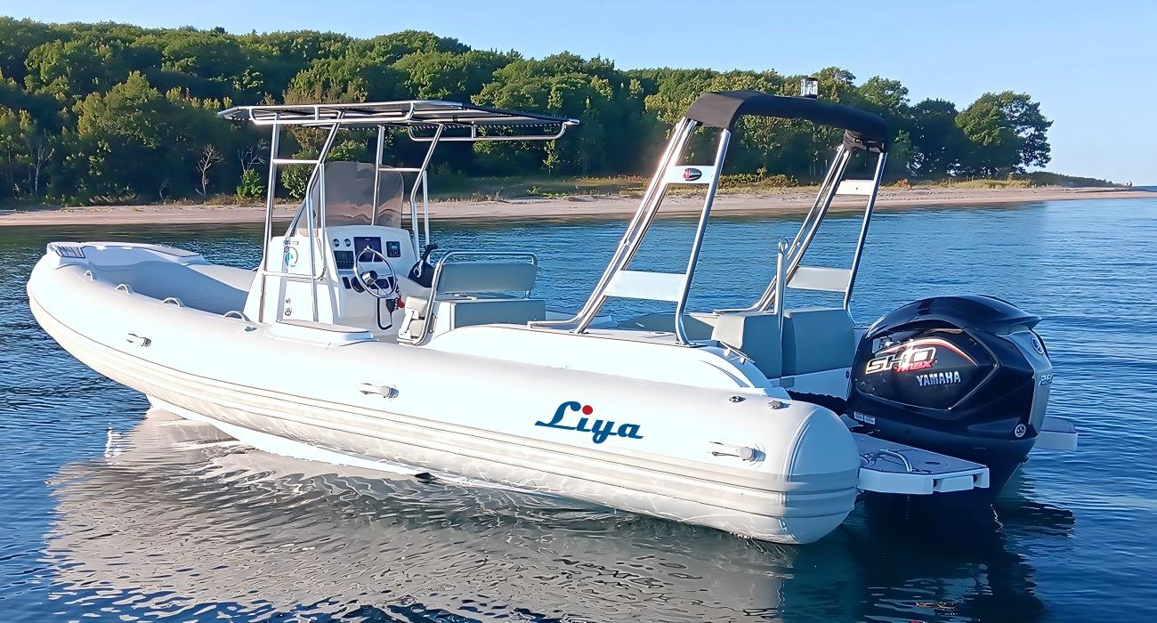 Luxury Performance Liya 6.6m 22FT Sport RlB Boat