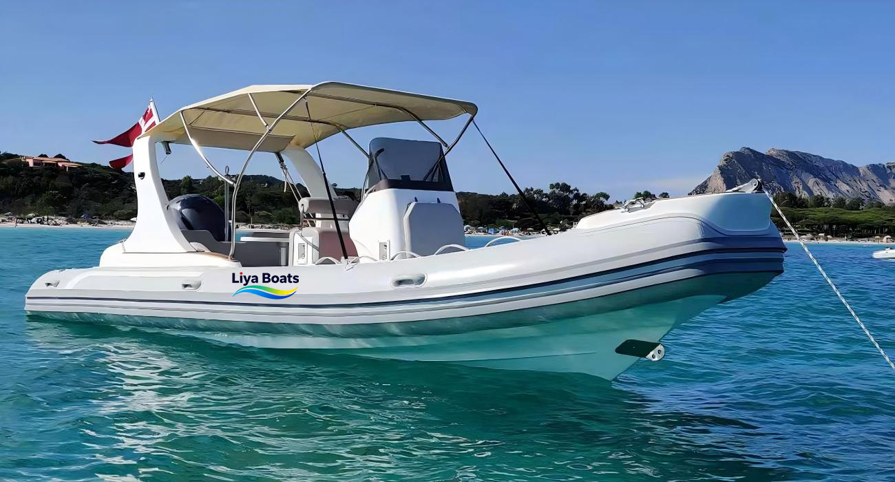 Liya 6.6m (22ft) Inflatable RIB Boat for 12 Persons - CE Certified Commercial & Recreational RIB