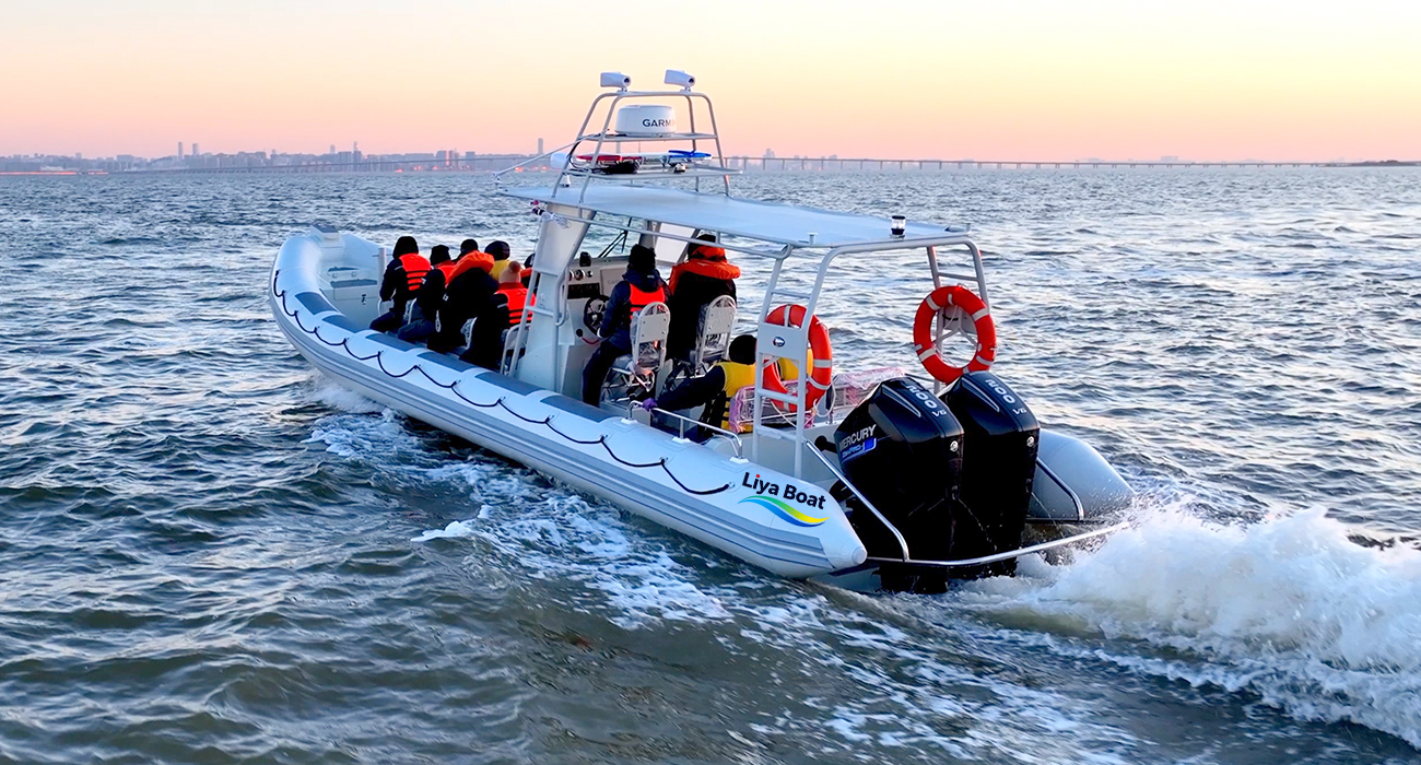 Liya 29-34FT Aluminum Patrol RIB Boat High-Speed,14 Person,CE B&C Certified