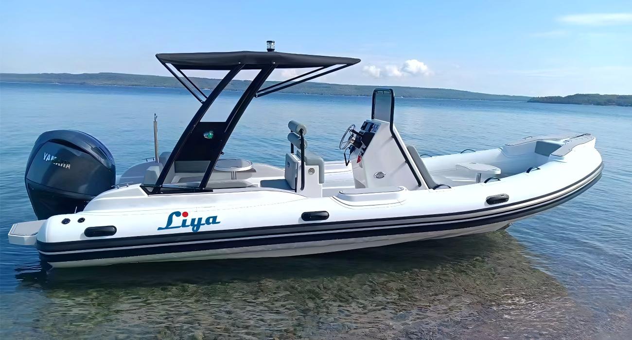 Luxury Performance Liya 6.6m 22FT Sport RlB Boat