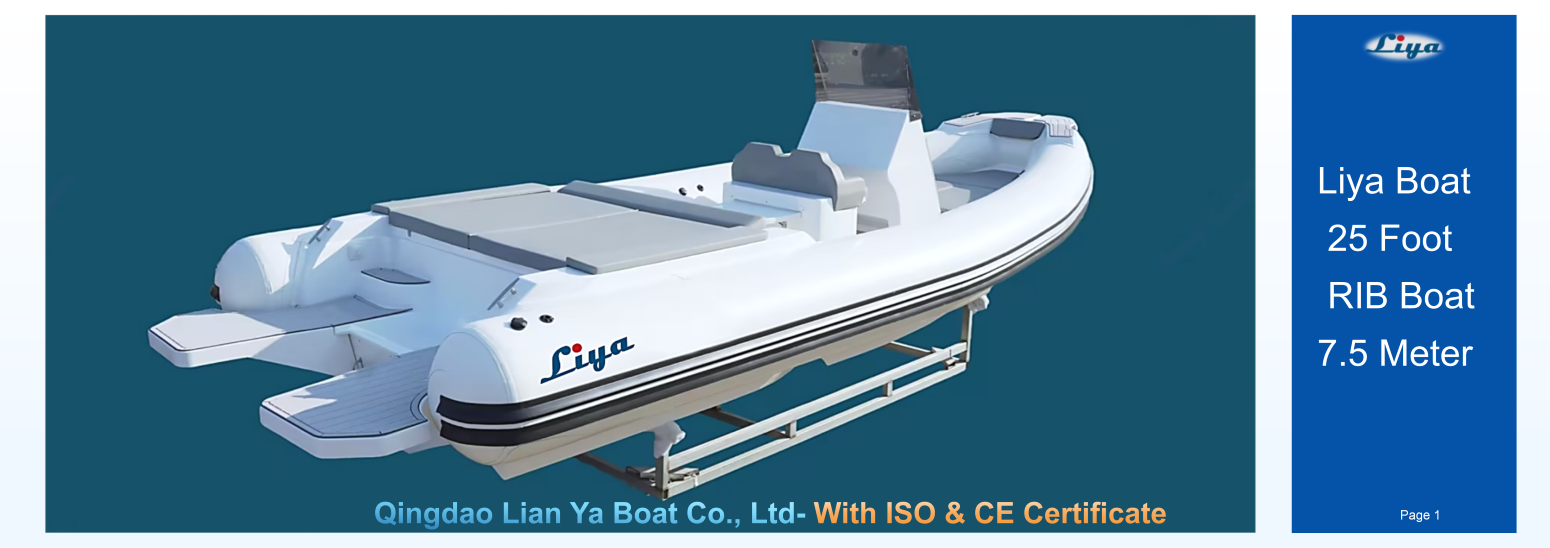 Liya 25 Foot italy style rib boat top view