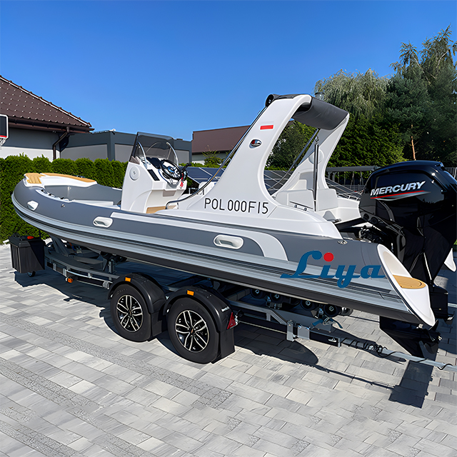 Liya Sport RIB 580 Boat For 10 People Recreational Rib Boats