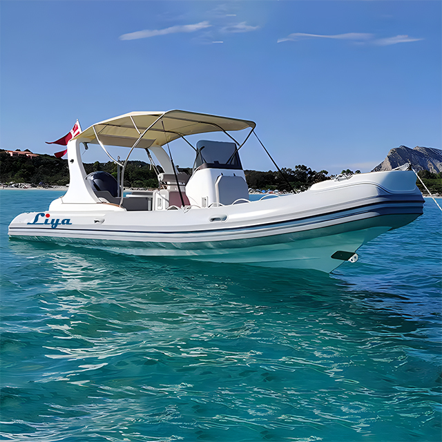 Liya 22Feet/6.6Meter Classic Rigid Inflatable Boat for 12people 