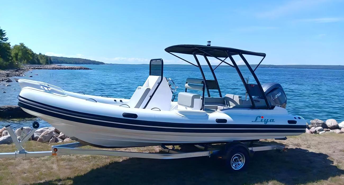 Luxury Performance Liya 6.6m 22FT Sport RlB Boat