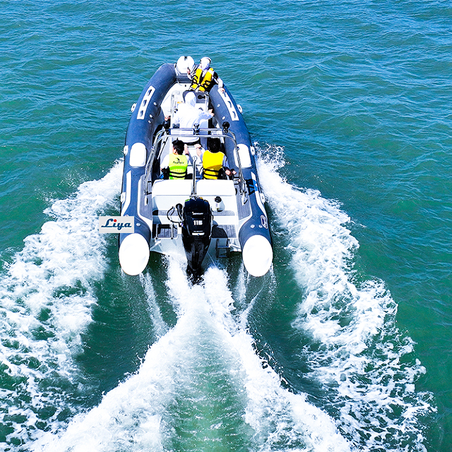19ft aluminum hull RIB inflatable boat