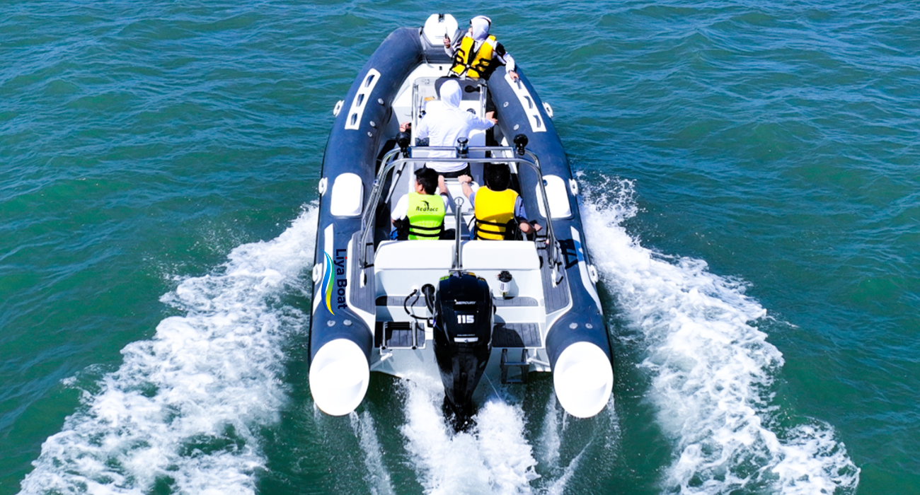 Liya 19ft Aluminum Hull RIB Tender Boat for Yacht & Commercial Use