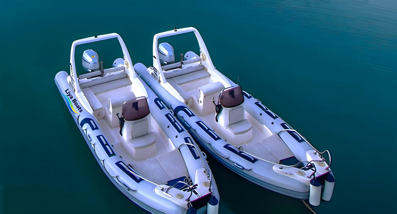 Liya 6.6m (22ft) Inflatable RIB Boat for 12 Persons - CE Certified Commercial & Recreational RIB