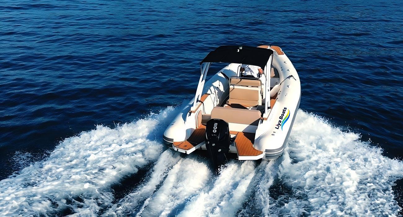 Liya 7.5m (25ft) Rigid Inflatable Boat (RIB) for 16 Persons - Leisure & Fishing