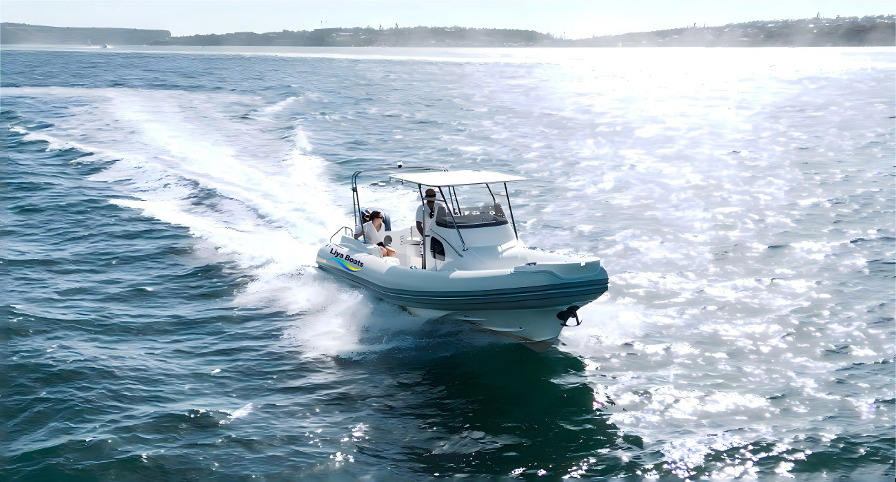 Liya 27FT Luxury Cabin RIB Boat for Sale | 8.3m Step Hull,Family & Charter Ready