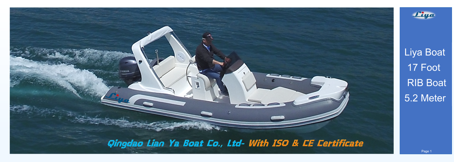 Family Leisure on a Liya 5.2m Center Console Boat