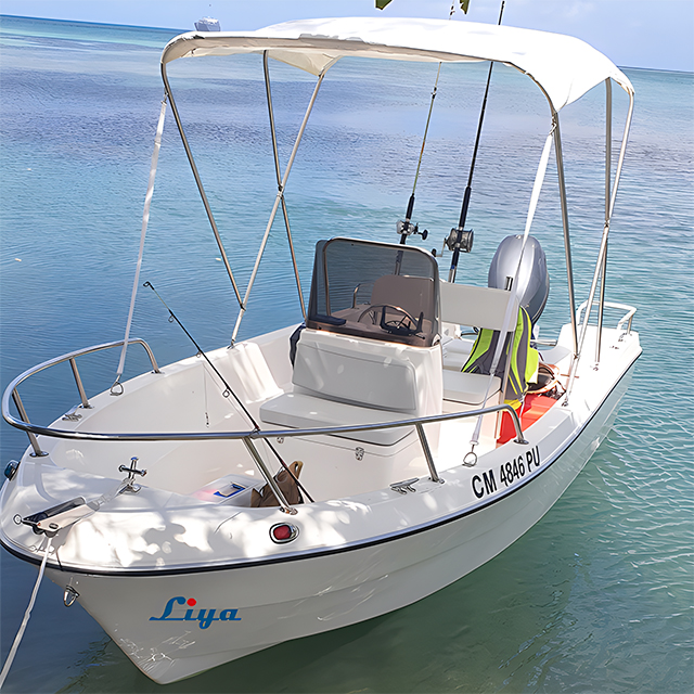 Liya 16.5Feet/5Meter fiberglass fishing boat for 8people