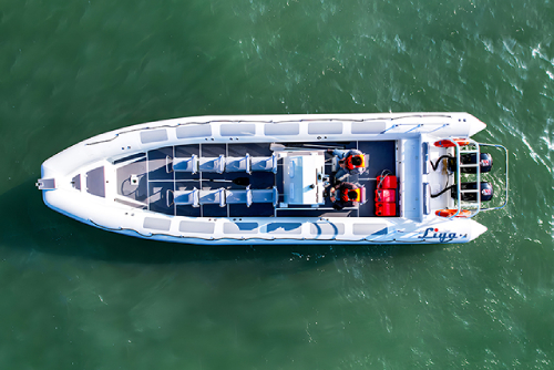 Liya 33ft Aluminum RIB Boat - For Patrol And Water Work