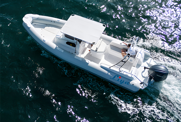 From Europe and America to Africa: Reasons why Liya 27 Foot Rigid Inflatable Boats has received good market feedback