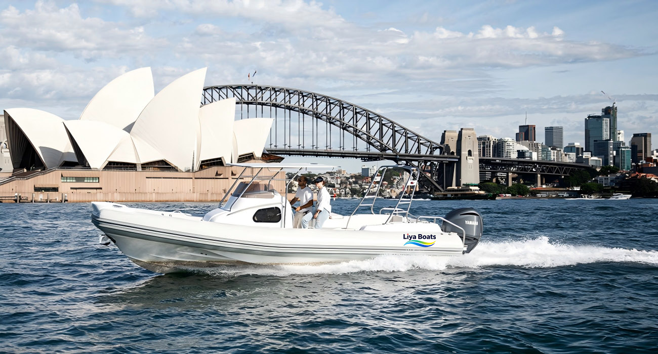 Liya 27FT Luxury Cabin RIB Boat for Sale | 8.3m Step Hull,Family & Charter Ready